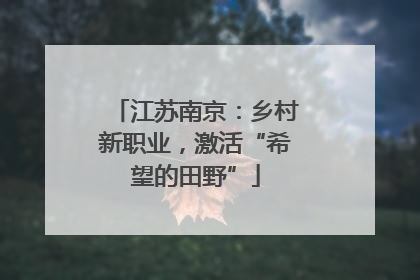 江苏南京：乡村新职业，激活“希望的田野”